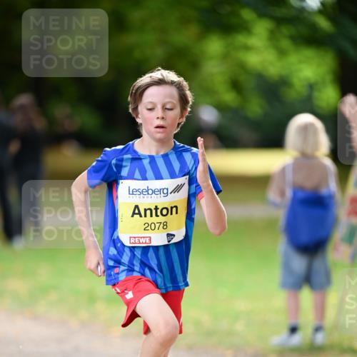 31.08.2025 - 21. Blankeneser Heldenlauf Dr. Thomas Lammeyer http://msf.ph/oto/8630182 31.08.2025 10:11:33 Laufen 2078 meine-sportfotos.de