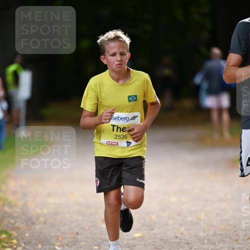 31.08.2025 - 21. Blankeneser Heldenlauf Dr. Thomas Lammeyer http://msf.ph/oto/8630293 31.08.2025 10:12:15 Laufen 2536 meine-sportfotos.de