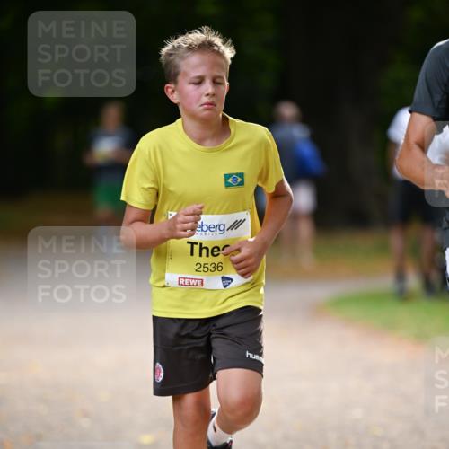 31.08.2025 - 21. Blankeneser Heldenlauf Dr. Thomas Lammeyer http://msf.ph/oto/8630298 31.08.2025 10:12:16 Laufen 2536 meine-sportfotos.de