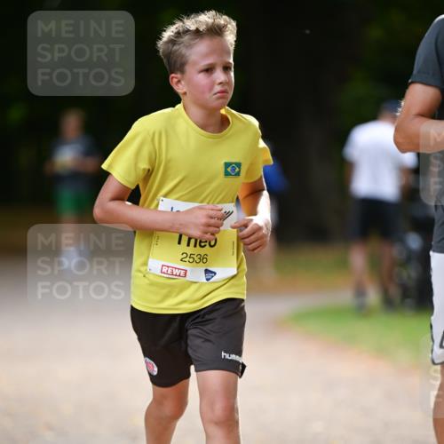 31.08.2025 - 21. Blankeneser Heldenlauf Dr. Thomas Lammeyer http://msf.ph/oto/8630299 31.08.2025 10:12:16 Laufen 2536 meine-sportfotos.de