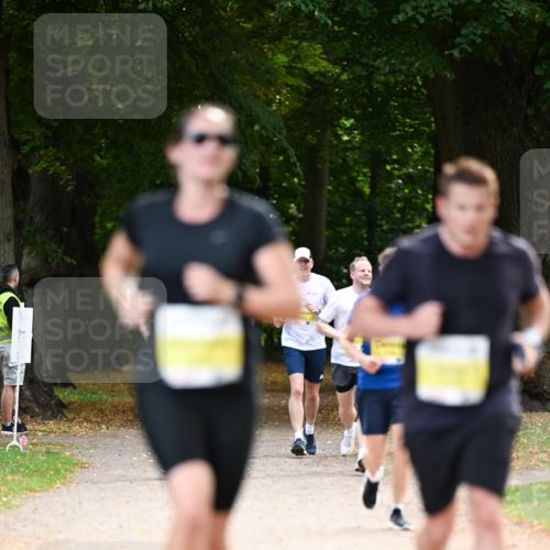 31.08.2025 - 21. Blankeneser Heldenlauf Dr. Thomas Lammeyer http://msf.ph/oto/8630560 31.08.2025 10:13:33 Laufen  meine-sportfotos.de