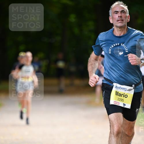 31.08.2025 - 21. Blankeneser Heldenlauf Dr. Thomas Lammeyer http://msf.ph/oto/8630602 31.08.2025 10:13:41 Laufen 2295 meine-sportfotos.de