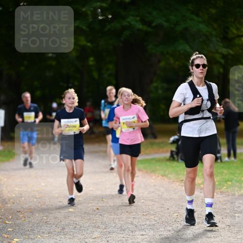 31.08.2025 - 21. Blankeneser Heldenlauf Dr. Thomas Lammeyer http://msf.ph/oto/8630896 31.08.2025 10:14:57 Laufen  meine-sportfotos.de