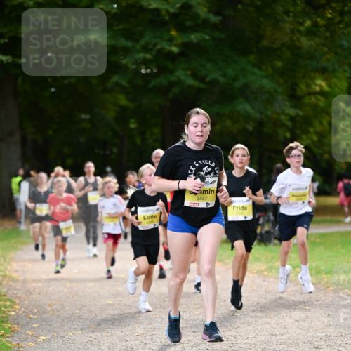 31.08.2025 - 21. Blankeneser Heldenlauf Dr. Thomas Lammeyer http://msf.ph/oto/8630964 31.08.2025 10:15:13 Laufen 2243, 2447, 2241 meine-sportfotos.de