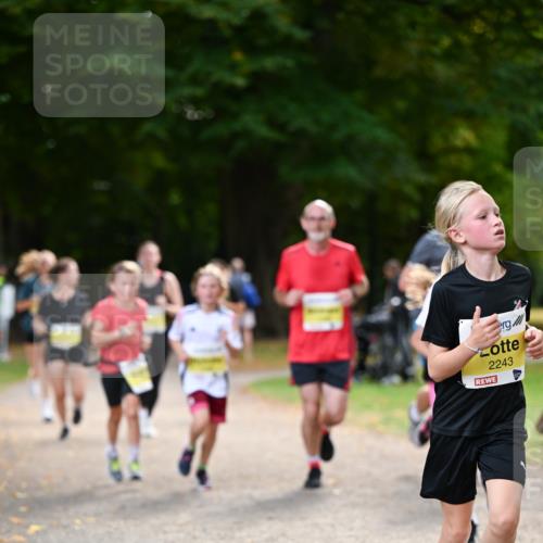 31.08.2025 - 21. Blankeneser Heldenlauf Dr. Thomas Lammeyer http://msf.ph/oto/8630975 31.08.2025 10:15:15 Laufen 2243 meine-sportfotos.de