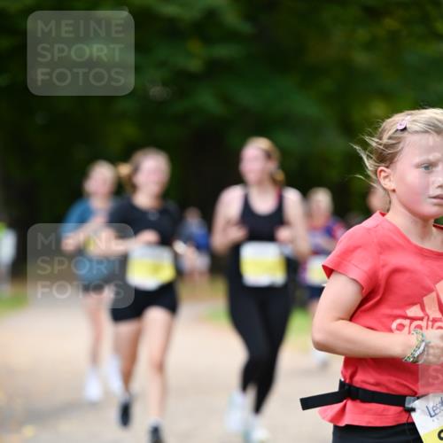 31.08.2025 - 21. Blankeneser Heldenlauf Dr. Thomas Lammeyer http://msf.ph/oto/8630995 31.08.2025 10:15:19 Laufen  meine-sportfotos.de