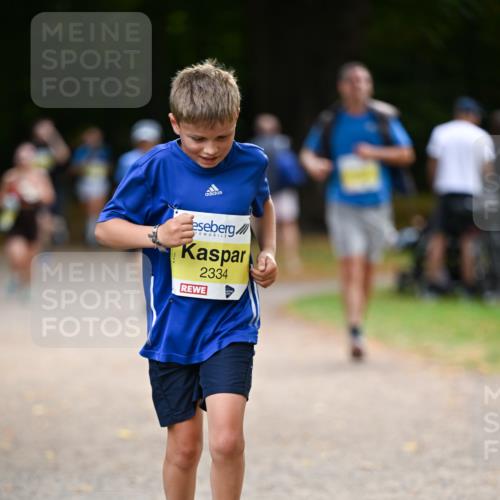 31.08.2025 - 21. Blankeneser Heldenlauf Dr. Thomas Lammeyer http://msf.ph/oto/8631345 31.08.2025 10:16:49 Laufen 2334 meine-sportfotos.de