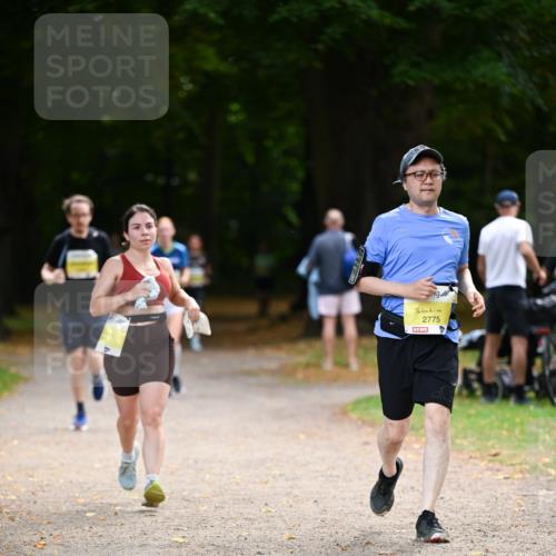 31.08.2025 - 21. Blankeneser Heldenlauf Dr. Thomas Lammeyer http://msf.ph/oto/8631367 31.08.2025 10:16:55 Laufen 2775 meine-sportfotos.de