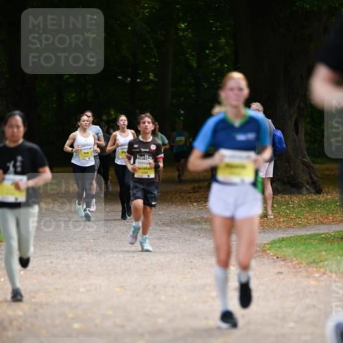 31.08.2025 - 21. Blankeneser Heldenlauf Dr. Thomas Lammeyer http://msf.ph/oto/8631387 31.08.2025 10:17:01 Laufen  meine-sportfotos.de