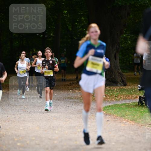 31.08.2025 - 21. Blankeneser Heldenlauf Dr. Thomas Lammeyer http://msf.ph/oto/8631388 31.08.2025 10:17:01 Laufen  meine-sportfotos.de