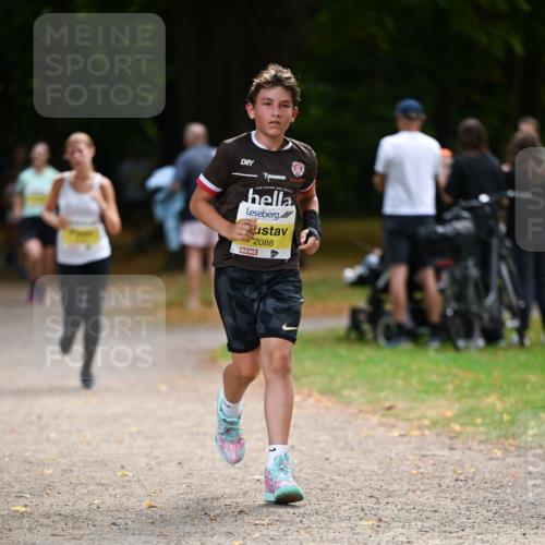 31.08.2025 - 21. Blankeneser Heldenlauf Dr. Thomas Lammeyer http://msf.ph/oto/8631415 31.08.2025 10:17:06 Laufen 2088 meine-sportfotos.de