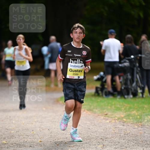 31.08.2025 - 21. Blankeneser Heldenlauf Dr. Thomas Lammeyer http://msf.ph/oto/8631416 31.08.2025 10:17:06 Laufen 2088 meine-sportfotos.de