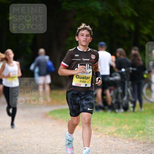 31.08.2025 - 21. Blankeneser Heldenlauf Dr. Thomas Lammeyer http://msf.ph/oto/8631420 31.08.2025 10:17:07 Laufen 2088 meine-sportfotos.de