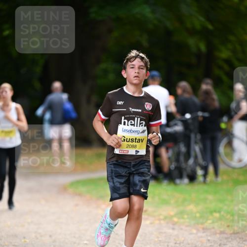 31.08.2025 - 21. Blankeneser Heldenlauf Dr. Thomas Lammeyer http://msf.ph/oto/8631421 31.08.2025 10:17:07 Laufen 2088 meine-sportfotos.de