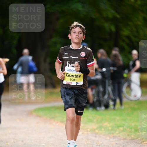 31.08.2025 - 21. Blankeneser Heldenlauf Dr. Thomas Lammeyer http://msf.ph/oto/8631422 31.08.2025 10:17:07 Laufen 2088 meine-sportfotos.de
