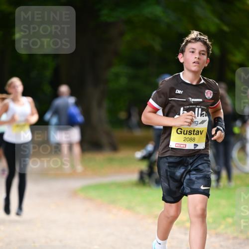 31.08.2025 - 21. Blankeneser Heldenlauf Dr. Thomas Lammeyer http://msf.ph/oto/8631425 31.08.2025 10:17:08 Laufen 2088 meine-sportfotos.de