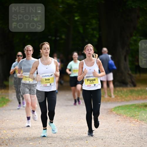 31.08.2025 - 21. Blankeneser Heldenlauf Dr. Thomas Lammeyer http://msf.ph/oto/8631431 31.08.2025 10:17:09 Laufen 2344, 2345 meine-sportfotos.de