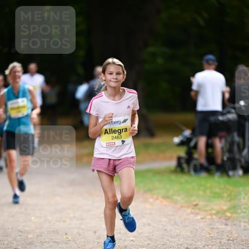 31.08.2025 - 21. Blankeneser Heldenlauf Dr. Thomas Lammeyer http://msf.ph/oto/8631476 31.08.2025 10:17:19 Laufen 2463 meine-sportfotos.de