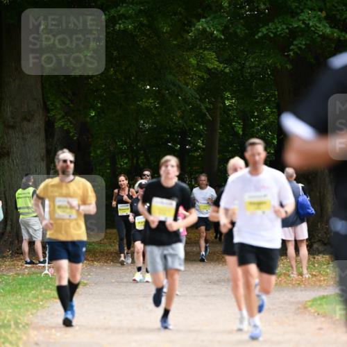 31.08.2025 - 21. Blankeneser Heldenlauf Dr. Thomas Lammeyer http://msf.ph/oto/8631517 31.08.2025 10:17:27 Laufen  meine-sportfotos.de