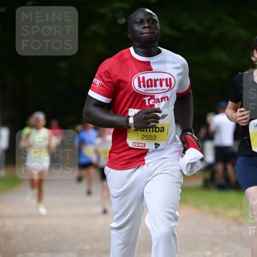 31.08.2025 - 21. Blankeneser Heldenlauf Dr. Thomas Lammeyer http://msf.ph/oto/8631707 31.08.2025 10:18:12 Laufen 1688, 2503 meine-sportfotos.de