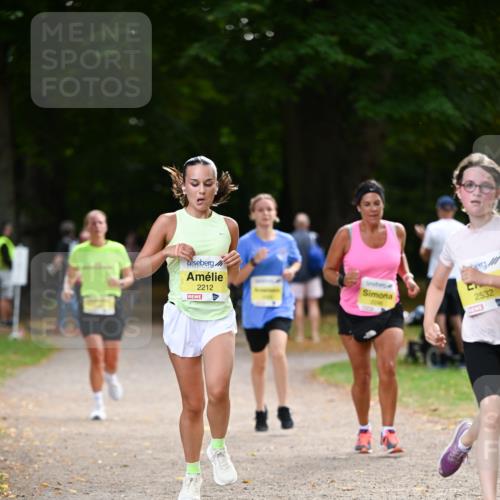 31.08.2025 - 21. Blankeneser Heldenlauf Dr. Thomas Lammeyer http://msf.ph/oto/8631726 31.08.2025 10:18:16 Laufen 2212, 2246, 2532 meine-sportfotos.de