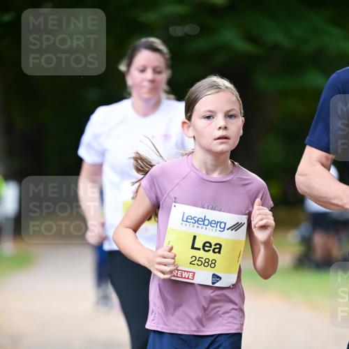 31.08.2025 - 21. Blankeneser Heldenlauf Dr. Thomas Lammeyer http://msf.ph/oto/8631847 31.08.2025 10:18:45 Laufen 2588 meine-sportfotos.de
