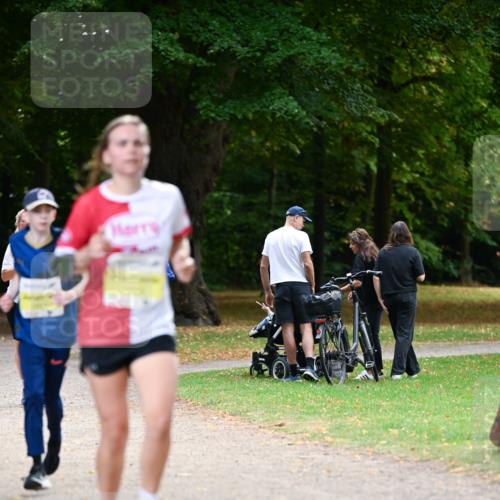 31.08.2025 - 21. Blankeneser Heldenlauf Dr. Thomas Lammeyer http://msf.ph/oto/8631851 31.08.2025 10:18:47 Laufen  meine-sportfotos.de