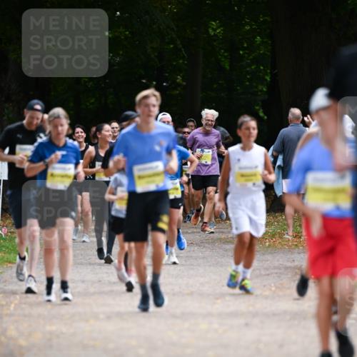 31.08.2025 - 21. Blankeneser Heldenlauf Dr. Thomas Lammeyer http://msf.ph/oto/8632105 31.08.2025 10:19:44 Laufen  meine-sportfotos.de