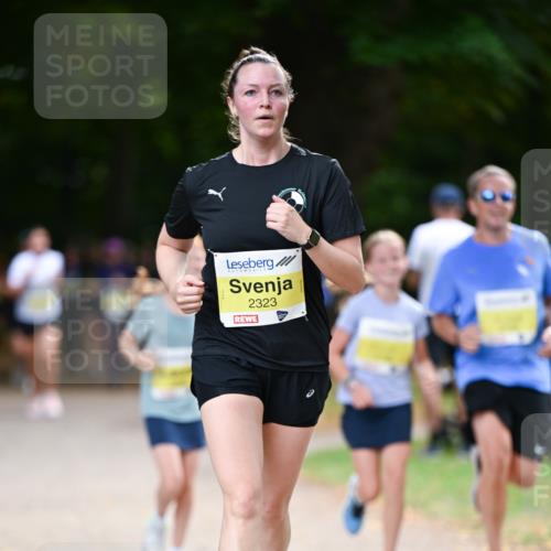 31.08.2025 - 21. Blankeneser Heldenlauf Dr. Thomas Lammeyer http://msf.ph/oto/8632303 31.08.2025 10:20:28 Laufen 2323 meine-sportfotos.de