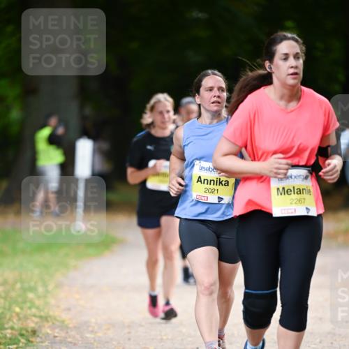 31.08.2025 - 21. Blankeneser Heldenlauf Dr. Thomas Lammeyer http://msf.ph/oto/8632777 31.08.2025 10:22:28 Laufen 2021, 2267 meine-sportfotos.de