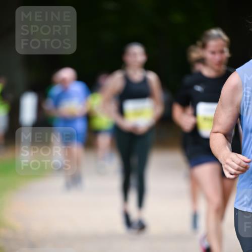 31.08.2025 - 21. Blankeneser Heldenlauf Dr. Thomas Lammeyer http://msf.ph/oto/8632795 31.08.2025 10:22:31 Laufen  meine-sportfotos.de