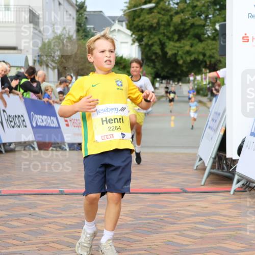 31.08.2025 - 21. Blankeneser Heldenlauf Strokosch-Dieckow http://msf.ph/oto/8647831 31.08.2025 10:18:35 Ziel 2480, 2448, 2264, 2537 meine-sportfotos.de