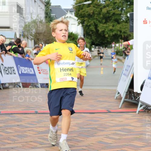 31.08.2025 - 21. Blankeneser Heldenlauf Strokosch-Dieckow http://msf.ph/oto/8647839 31.08.2025 10:18:35 Ziel 2480, 2448, 2264, 2537 meine-sportfotos.de