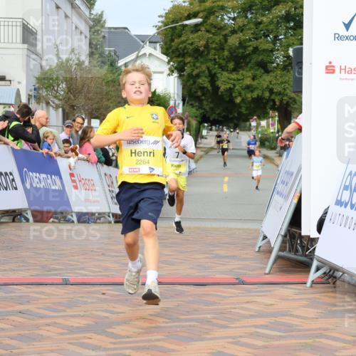 31.08.2025 - 21. Blankeneser Heldenlauf Strokosch-Dieckow http://msf.ph/oto/8647920 31.08.2025 10:18:35 Ziel 2480, 2448, 2264, 2537 meine-sportfotos.de