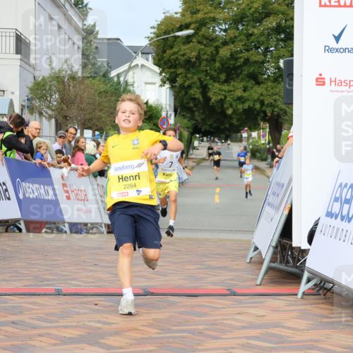 31.08.2025 - 21. Blankeneser Heldenlauf Strokosch-Dieckow http://msf.ph/oto/8647943 31.08.2025 10:18:34 Ziel 2480, 2448, 2264, 2537 meine-sportfotos.de