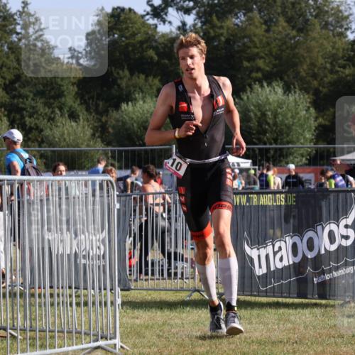 31.08.2025 - Elbe Triathlon Hamburg Strokosch-Dieckow http://msf.ph/oto/8650524 31.08.2025 09:26:18 Laufen 10 meine-sportfotos.de