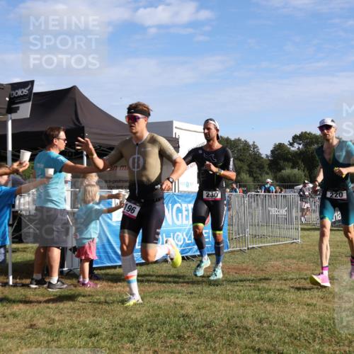 31.08.2025 - Elbe Triathlon Hamburg Strokosch-Dieckow http://msf.ph/oto/8650578 31.08.2025 09:29:55 Laufen 196, 230, 220 meine-sportfotos.de