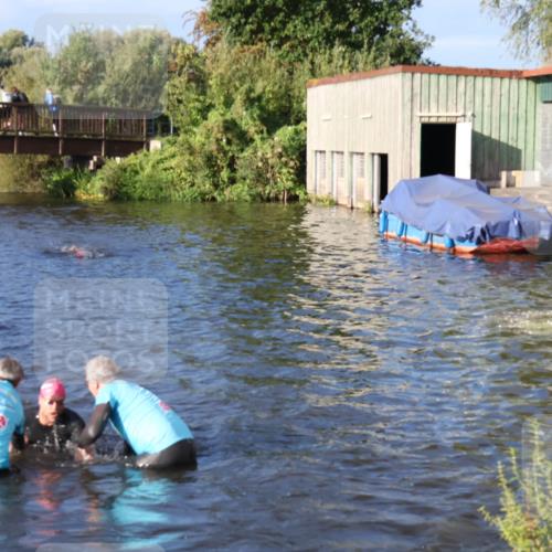 31.08.2025 - Elbe Triathlon Hamburg Luisa Fischer http://msf.ph/oto/8673338 31.08.2025 08:42:42 Schwimmen 270, 272, 369 meine-sportfotos.de
