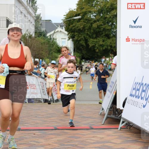 31.08.2025 - 21. Blankeneser Heldenlauf Strokosch-Dieckow http://msf.ph/oto/8677445 31.08.2025 10:27:26 Ziel 2715, 2463, 2559, 2725, 2533, 2709 meine-sportfotos.de