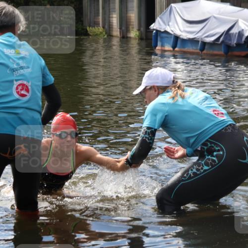 31.08.2025 - Elbe Triathlon Hamburg Luisa Fischer http://msf.ph/oto/8680101 31.08.2025 14:30:31 Schwimmen  meine-sportfotos.de