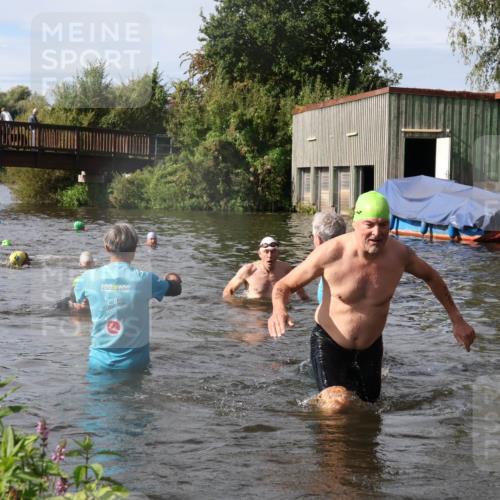 31.08.2025 - Elbe Triathlon Hamburg Luisa Fischer http://msf.ph/oto/8685177 31.08.2025 10:33:47 Schwimmen 1313, 1316, 1340 meine-sportfotos.de
