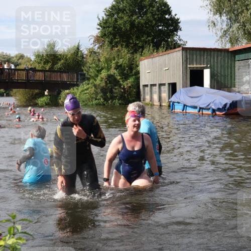 31.08.2025 - Elbe Triathlon Hamburg Luisa Fischer http://msf.ph/oto/8686033 31.08.2025 10:42:31 Schwimmen 1398, 1399, 1400, 1458, 1495 meine-sportfotos.de