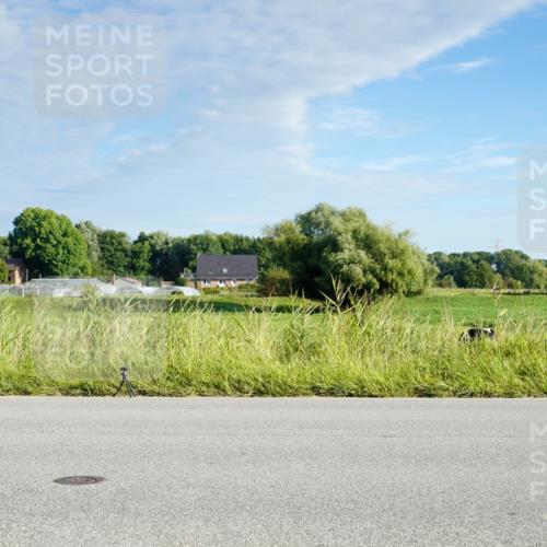 31.08.2025 - Elbe Triathlon Hamburg Michael Burmester http://msf.ph/oto/8688132 31.08.2025 08:48:05 Radfahren 243, 274 meine-sportfotos.de
