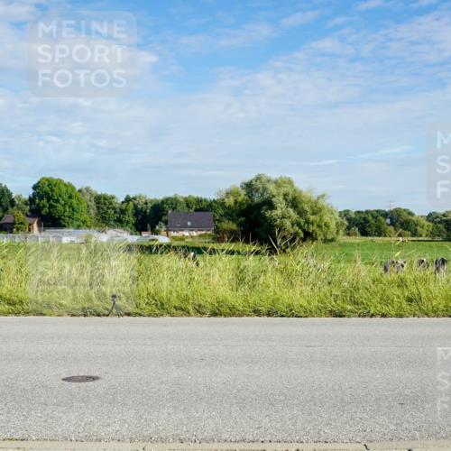 31.08.2025 - Elbe Triathlon Hamburg Michael Burmester http://msf.ph/oto/8689224 31.08.2025 09:19:12 Radfahren 450 meine-sportfotos.de