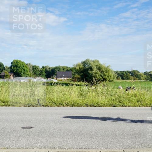 31.08.2025 - Elbe Triathlon Hamburg Michael Burmester http://msf.ph/oto/8689346 31.08.2025 09:21:44 Radfahren 229, 255, 272, 276, 300, 412, 468, 492, 658 meine-sportfotos.de