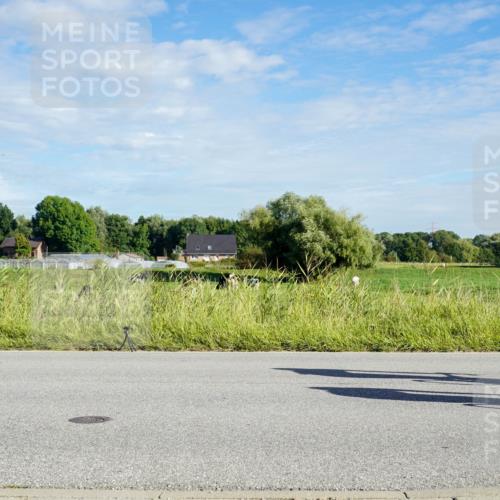 31.08.2025 - Elbe Triathlon Hamburg Michael Burmester http://msf.ph/oto/8689559 31.08.2025 09:25:16 Radfahren 293, 459, 462, 546, 753 meine-sportfotos.de