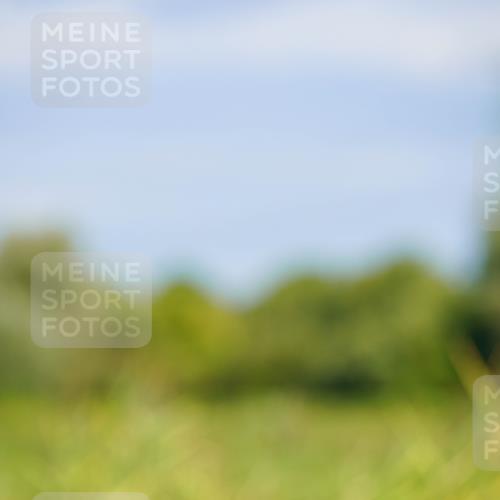 31.08.2025 - Elbe Triathlon Hamburg Michael Burmester http://msf.ph/oto/8690228 31.08.2025 08:52:56 Radfahren 230, 367, 369 meine-sportfotos.de