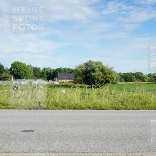 31.08.2025 - Elbe Triathlon Hamburg Michael Burmester http://msf.ph/oto/8690846 31.08.2025 09:47:53 Radfahren 374, 413, 495, 568, 790 meine-sportfotos.de