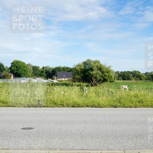 31.08.2025 - Elbe Triathlon Hamburg Michael Burmester http://msf.ph/oto/8690948 31.08.2025 09:50:27 Radfahren 429, 436, 480, 502, 847 meine-sportfotos.de