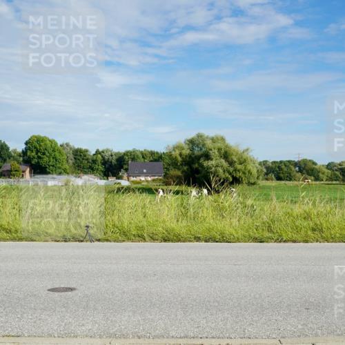 31.08.2025 - Elbe Triathlon Hamburg Michael Burmester http://msf.ph/oto/8691103 31.08.2025 09:54:03 Radfahren  meine-sportfotos.de